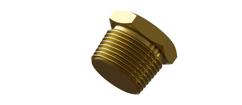BOUCHON OBT. DN50 M. 2" NF540 8245016