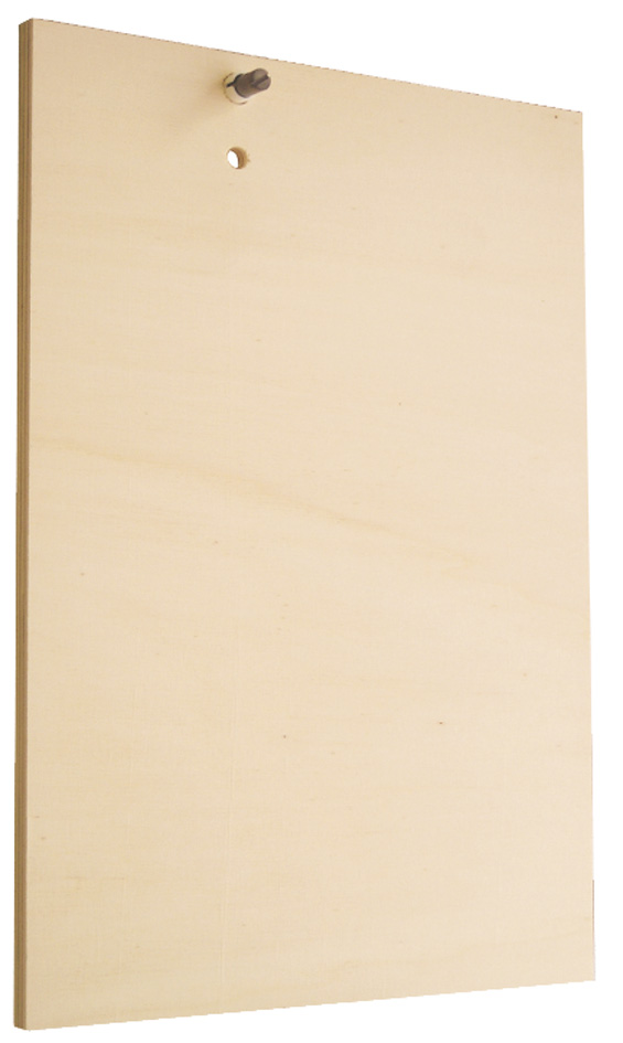 PANNEAU POLYVALENT BOIS CTBX 12MM POUR S20 6980033 *